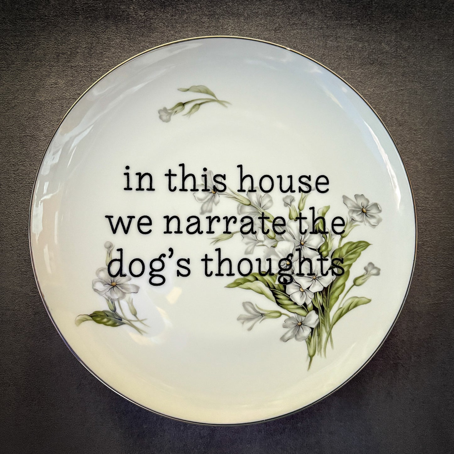 in this house we narrate the dog's thoughts