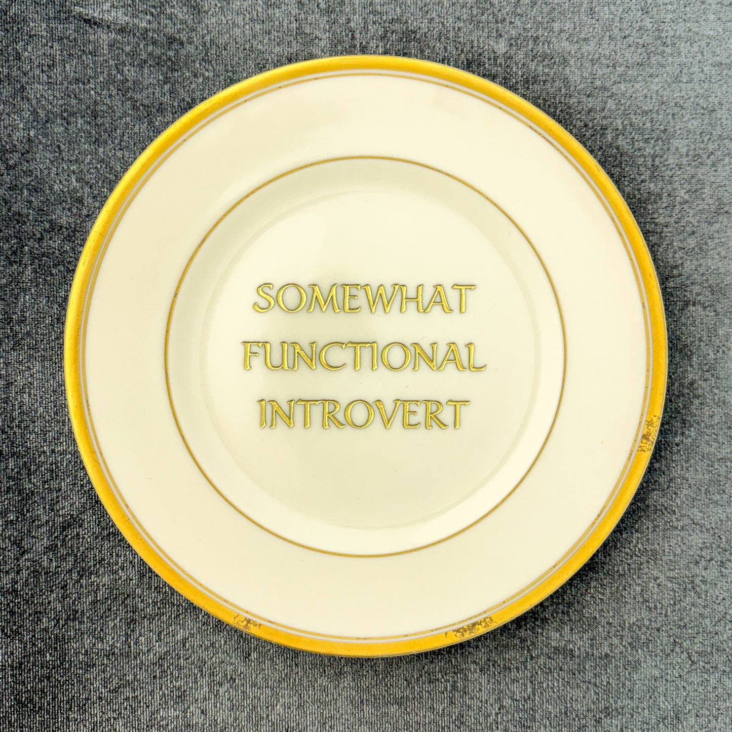 somewhat functional introvert
