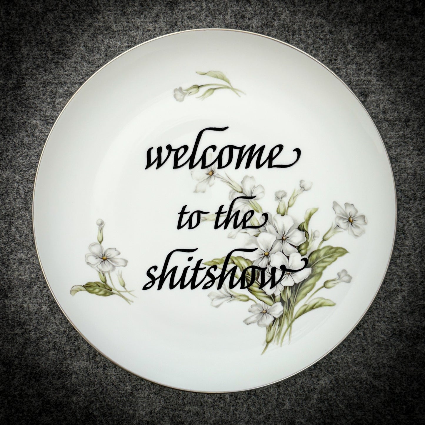 welcome to the shitshow