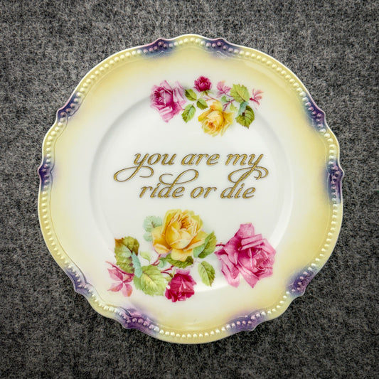 you are my ride or die