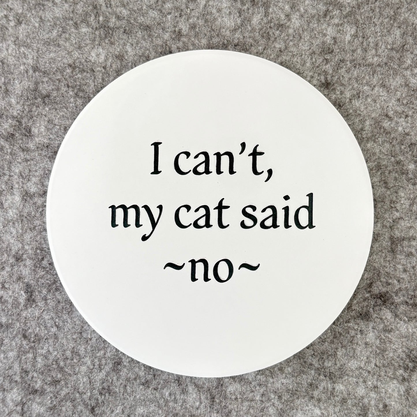 I can't my cat said -no-