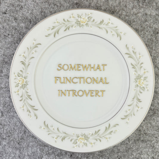 somewhat functional introvert