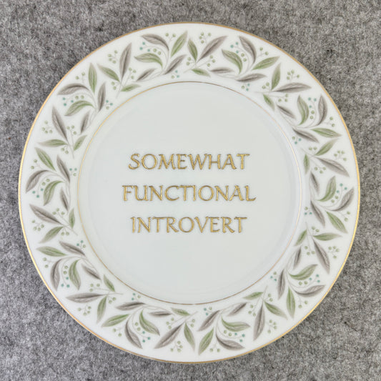 somewhat functional introvert