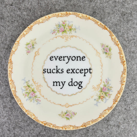 everyone sucks except my dog