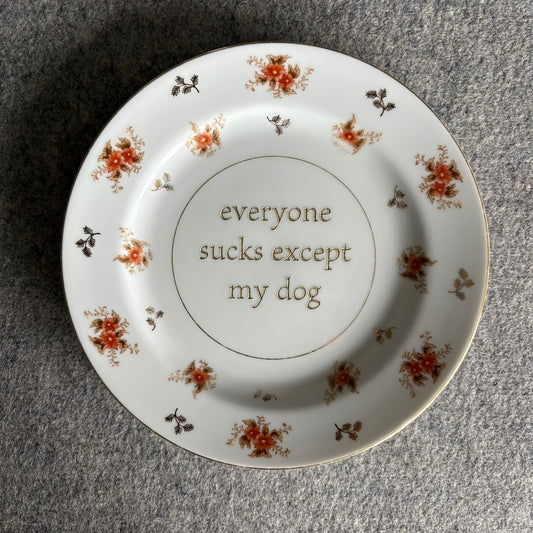 everyone sucks except my dog