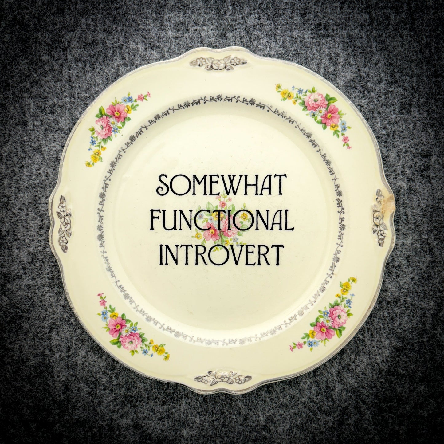 somewhat functional introvert