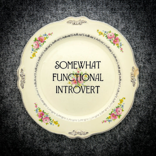 somewhat functional introvert