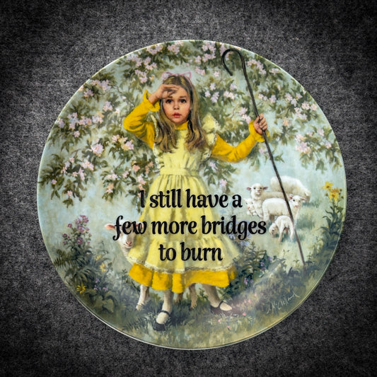 I still have a few more bridges to burn
